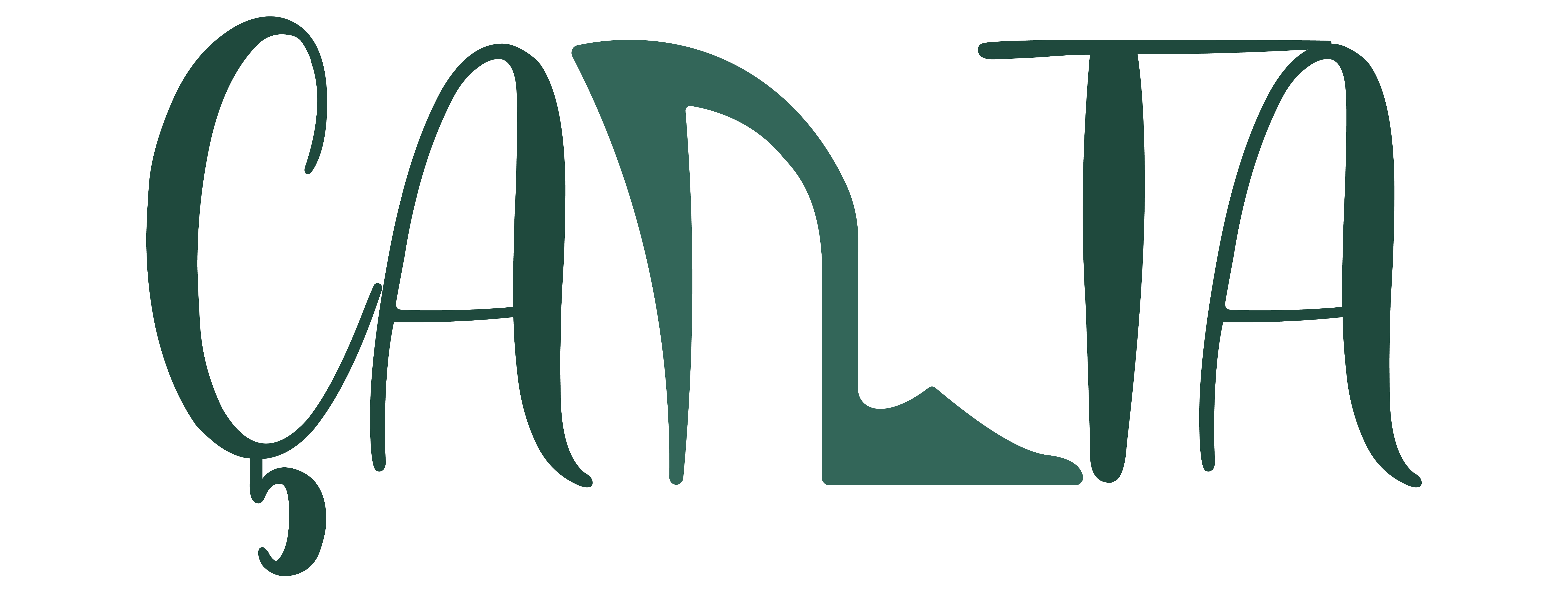 فروشگاه چانتا